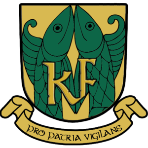 KELTIC_FISH compressed logo